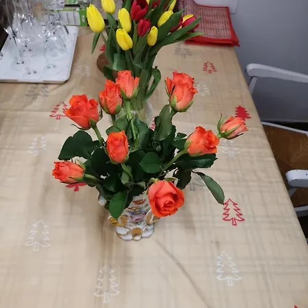 Rose Privatunterkunft *