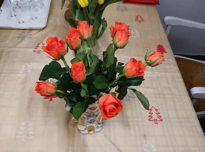 Rose 홈스테이 *